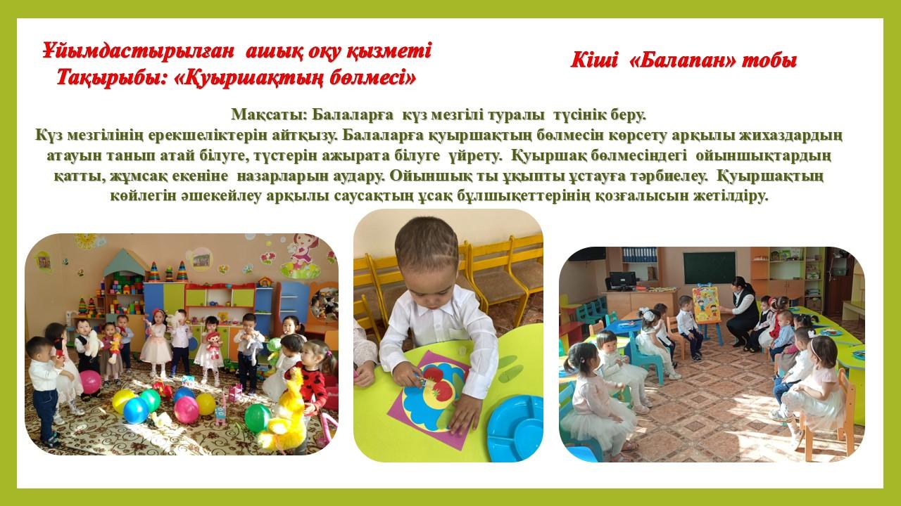Ұйымдастырылған ашық оқу қызметтері. Қатынас білім беру саласы бойынша.