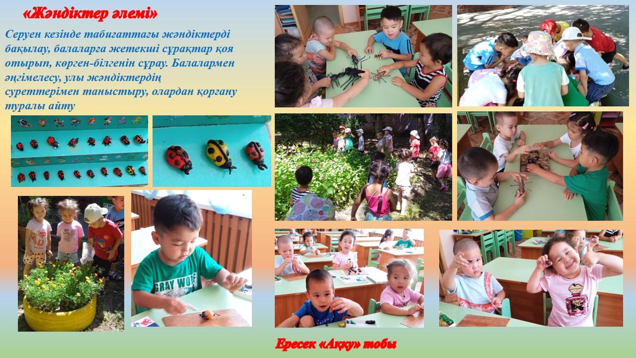 жәндіктер әлемі