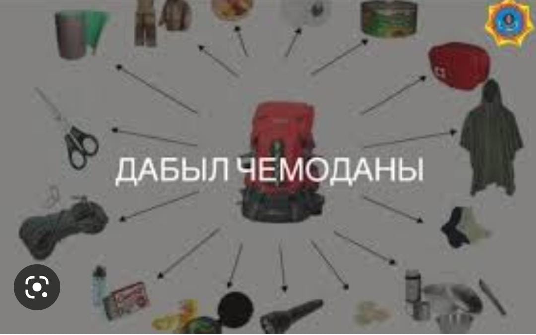 Дабыл чемоданы