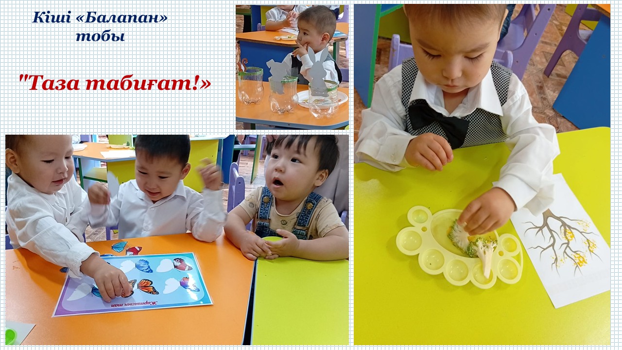 Ашық ұйымдастырылған іс-әрекеттер  «Экологиялық мәдениет және әлеуметтік-эмоционалдық даму»